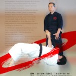 第15回 大東流無傳塾友好演武大会ポスター